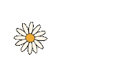 sundaymorningsbyvdesigns flower daisies flowerpower sundaymorningsbyvdesigns Sticker