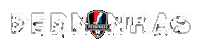 Football Sport Sticker by Perninhas Futebol Clube