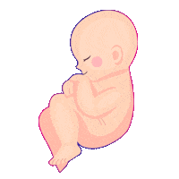 Baby Sticker by Cyprusivf