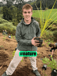natewilbourne nature new zealand nate mother earth GIF