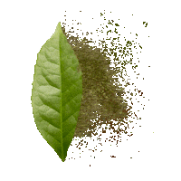 drinkGUYA summer drink energy coffee time Sticker