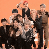Skz GIF
