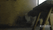 Dog Shears GIF by Searchlight Pictures