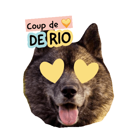 Pawsitivepetambassadeur Sticker by Pawsitive pet