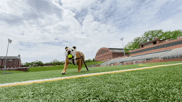 Happy Slow Motion GIF by Butler University