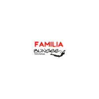 Fitness Workout Sticker by BUNGEE TRAINING ARGENTINA