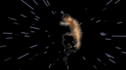 breakin GIF by New Politics