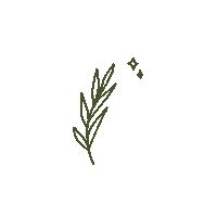Star Waving Sticker