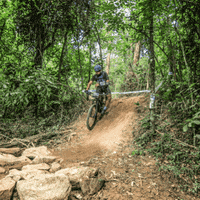 vidaadaptada  GIF