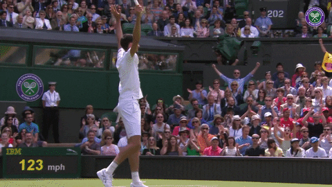 celebration winning GIF by Wimbledon