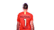 Germany Football Sticker by VfL Wolfsburg