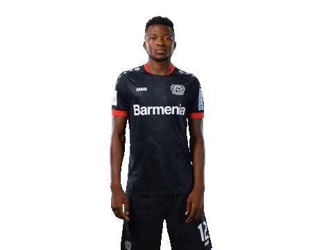 Bayer 04 Werkself Sticker by Bayer 04 Leverkusen