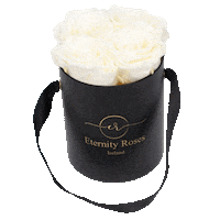 eternityroses love flower amor roses Sticker