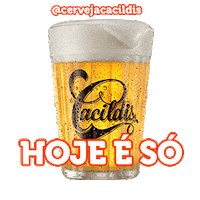 grupopetropolis bar festa cerveja sextou Sticker