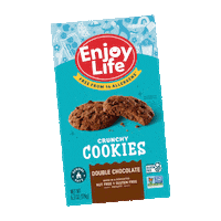 Chocolate Snack Sticker by Enjoy Life Foods