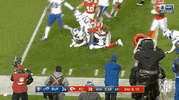 Nfl Playoffs Football GIF by NFL