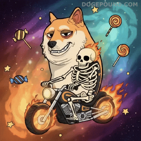 On My Way Halloween GIF by Doge Pound