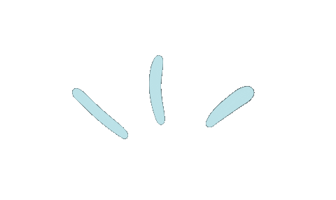 Point Sticker