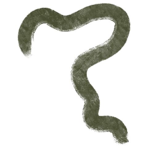 Cactus Phula Sticker by Nat Fleitas