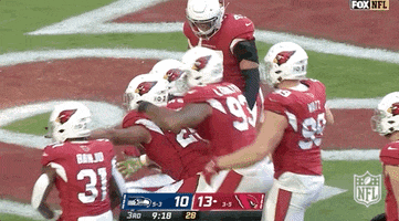 Pick Six Arizona Cardinals GIF by NFL