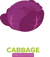 Red Cabbage Vegetable Sticker by Medical Medium