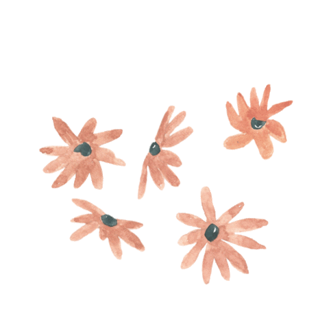 amoproa giphyupload flowers flores amoproa Sticker