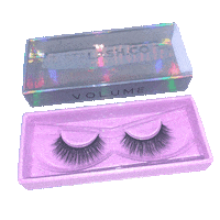 instalash instalash instalashco instaliner volume lash Sticker
