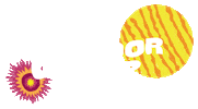 Outdoor Camp Sticker by Climb Up