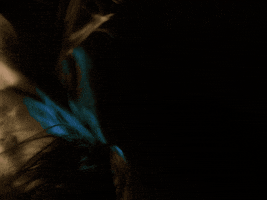 Sub Pop Spinning GIF by Sub Pop Records