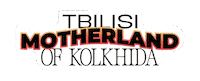Kolkhida2025 Sticker by Aptos