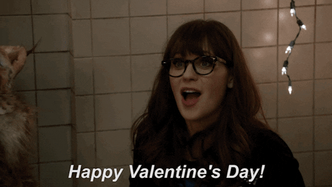 Valentines Day Fox GIF by New Girl