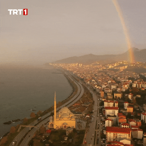 Travel Vacation GIF by TRT