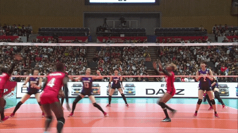 Party Love GIF by Volleyball World