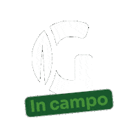 Graper graper graperincampo Sticker