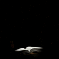 محمد GIF