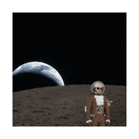 Planet Earth Space Sticker