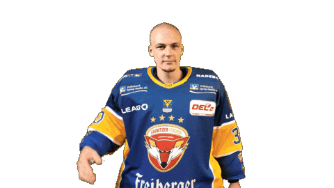 Icanthearyou Celebrate Sticker by Lausitzer Füchse