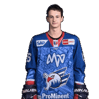 Nick Mähler Sticker by Adler Mannheim