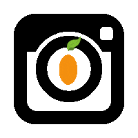 Vegangirlbawse Sticker by Preciously Organic