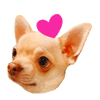 Heart Love Sticker