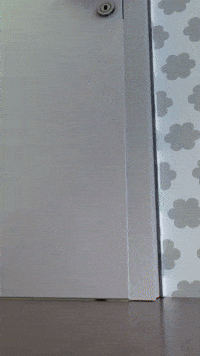 PackyDuck yellow duck talk sneaky GIF
