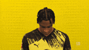 Look Up Borussia Dortmund GIF by Bundesliga