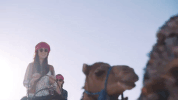 GIF by Grupo It Brazil