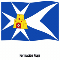 Flag Spain GIF by Formación Ninja