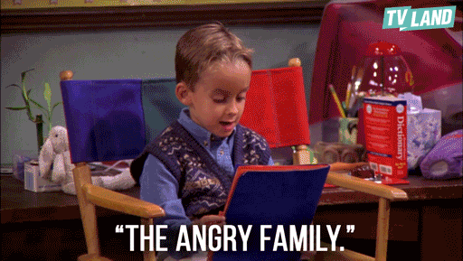everybody loves raymond the angry family GIF by TV Land