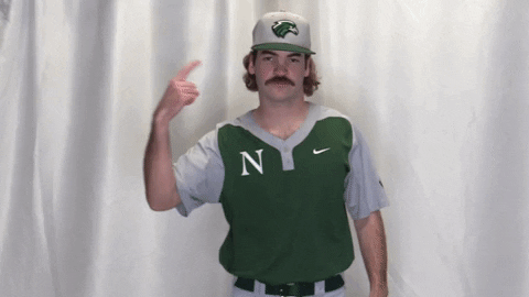 Collegebaseball Ncaadii GIF by RiverHawk Sports