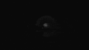 Howling Black And White GIF by SYML