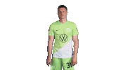 Happy Germany Sticker by VfL Wolfsburg