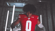 Football Brush Off GIF by Wisconsin Badgers