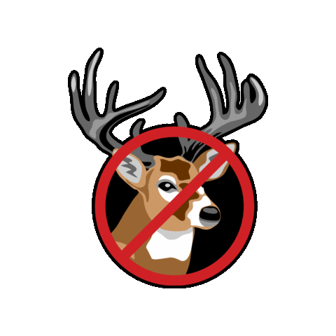 BetterBoxwood giphygifmaker Sticker